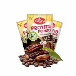 Amylon BIO Protein Puding čokoládový bez lepku 45g